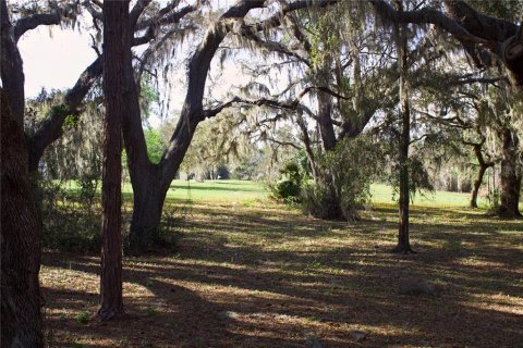 Terrain à vendre à Tavares, Floride № 2142422 - photo 26