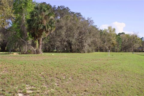 Terrain à vendre à Tavares, Floride № 2142422 - photo 12