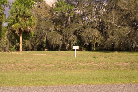 Terrain à vendre à Tavares, Floride № 2142422 - photo 2