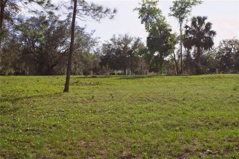 Terrain à vendre à Tavares, Floride № 2142422 - photo 19