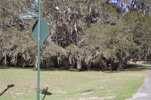 Terrain à vendre à Tavares, Floride № 2142422 - photo 30