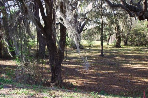 Terrain à vendre à Tavares, Floride № 2142422 - photo 24