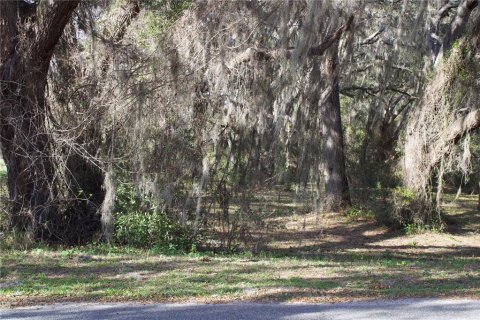 Terrain à vendre à Tavares, Floride № 2142422 - photo 29