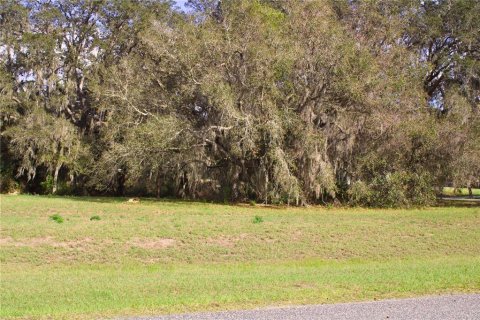 Terrain à vendre à Tavares, Floride № 2142422 - photo 4