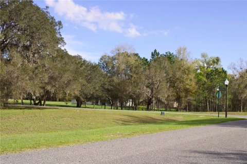 Terrain à vendre à Tavares, Floride № 2142422 - photo 6