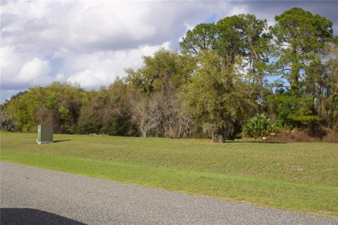 Terrain à vendre à Tavares, Floride № 2142422 - photo 3