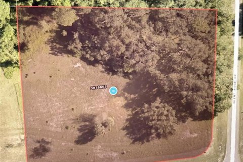 Terrain à Tavares, Floride № 2142422