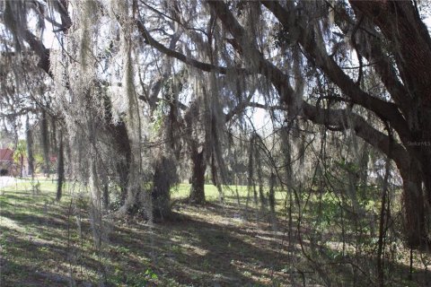 Terrain à vendre à Tavares, Floride № 2142422 - photo 28