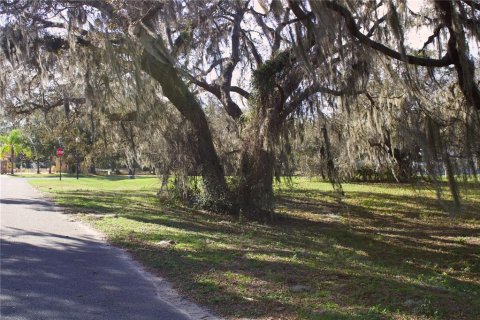 Terrain à vendre à Tavares, Floride № 2142422 - photo 22