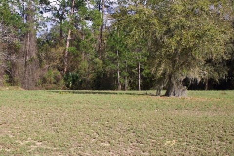 Terrain à vendre à Tavares, Floride № 2142422 - photo 7