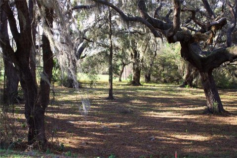Terrain à vendre à Tavares, Floride № 2142422 - photo 25