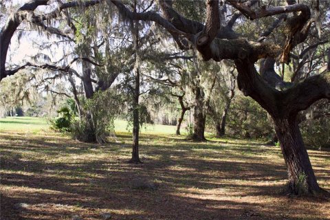 Terrain à vendre à Tavares, Floride № 2142422 - photo 27