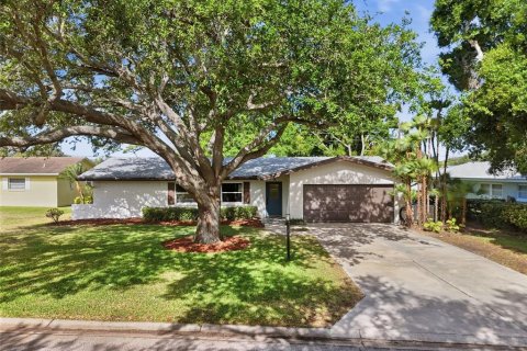 Villa ou maison à Dunedin, Floride 3 chambres, 182.92 m2 № 2096501