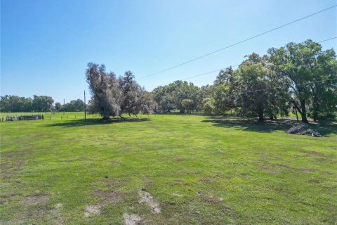 Land in Webster, Florida № 2099603 - photo 12