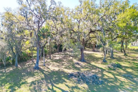 Land in Webster, Florida № 2099603 - photo 8