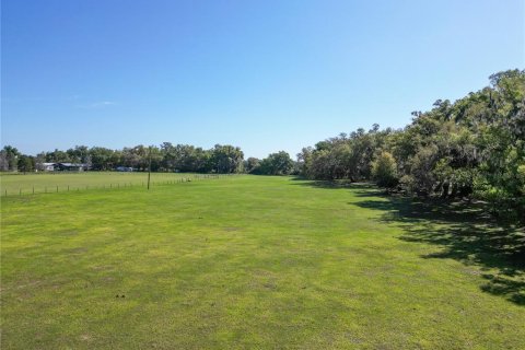 Land in Webster, Florida № 2099603 - photo 2