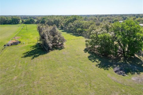 Land in Webster, Florida № 2099603 - photo 13