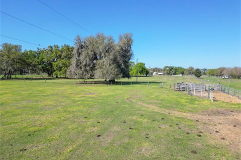 Land in Webster, Florida № 2099603 - photo 6