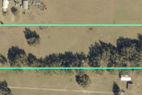 Land in Webster, Florida № 2099603 - photo 3