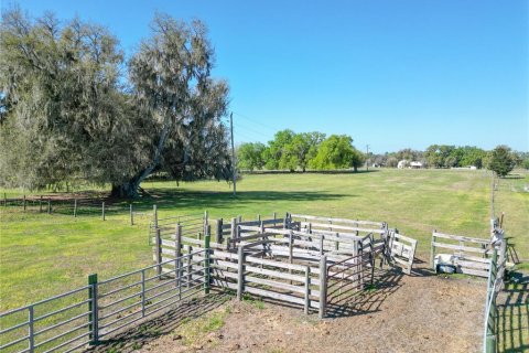 Land in Webster, Florida № 2099603 - photo 10