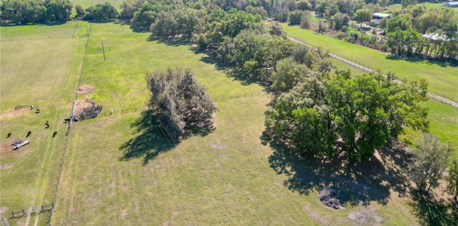 Land in Webster, Florida № 2099603