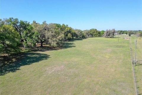 Land in Webster, Florida № 2099603 - photo 7