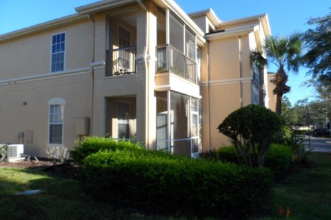 Copropriété à louer à Tampa, Floride: 1 chambre, 79.06 m2 № 2419801 - photo 13