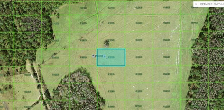 Terreno en Polk City, Florida № 2202893