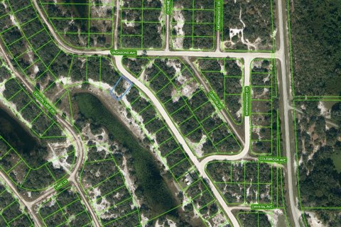 Land in Lake Placid, Florida № 2209273