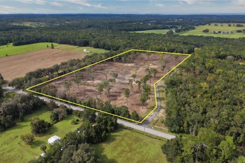 Terreno en Reddick, Florida № 2416823