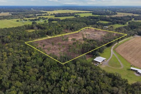 Terreno en venta en Reddick, Florida № 2416823 - foto 3