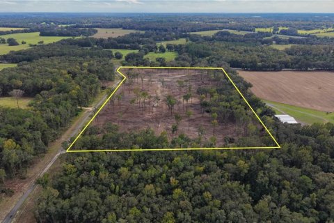 Terreno en venta en Reddick, Florida № 2416823 - foto 4