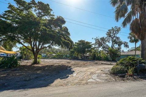 Land in Longboat Key, Florida № 1540290 - photo 2