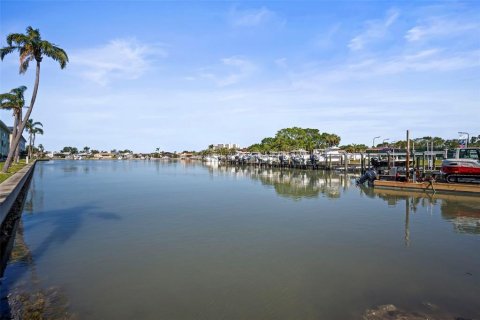 Condo in Gulfport, Florida, 2 bedrooms  № 1734821 - photo 24