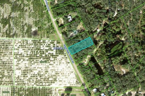 Land in Frostproof, Florida № 1532653 - photo 1