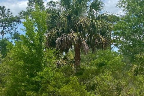 Land in Weeki Wachee, Florida № 1666482 - photo 2
