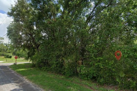 Land in Hernando, Florida № 2158953 - photo 3