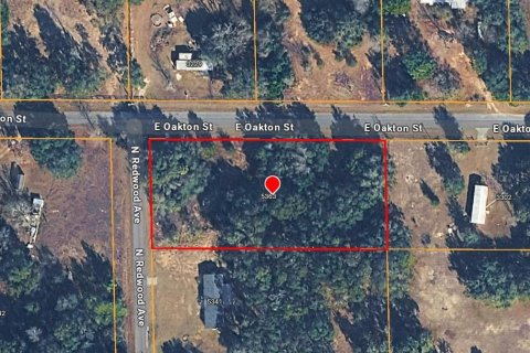 Land in Hernando, Florida № 2158953