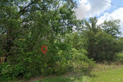 Land in Hernando, Florida № 2158953 - photo 2