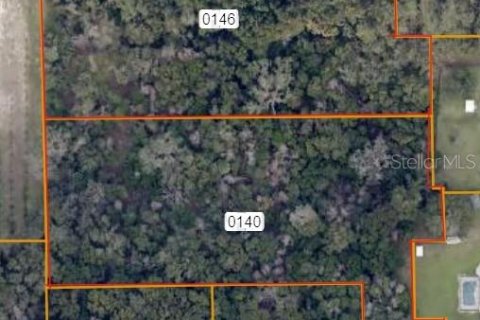 Terrain à DeLand, Floride № 2108936