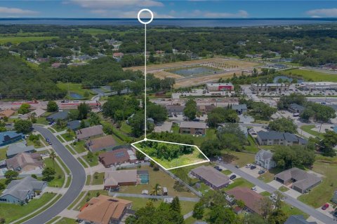 Land in Kissimmee, Florida № 1804059 - photo 1