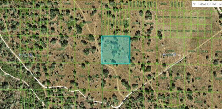 Terreno en Lake Wales, Florida № 2143146