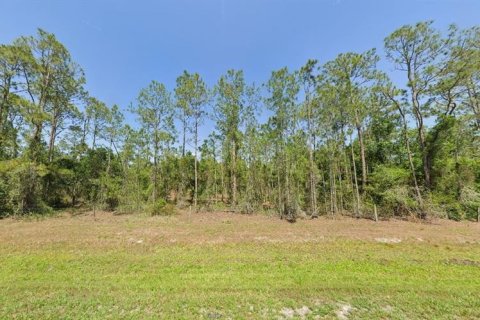 Terreno en venta en Lake Wales, Florida № 2143146 - foto 2