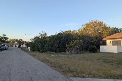 Land in Port Charlotte, Florida № 2163531 - photo 6