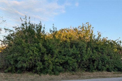 Land in Port Charlotte, Florida № 2163531 - photo 5