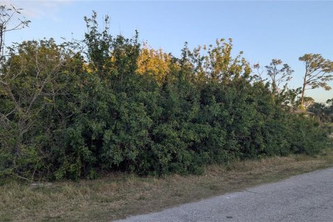 Land in Port Charlotte, Florida № 2163531 - photo 3
