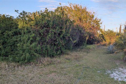 Land in Port Charlotte, Florida № 2163531