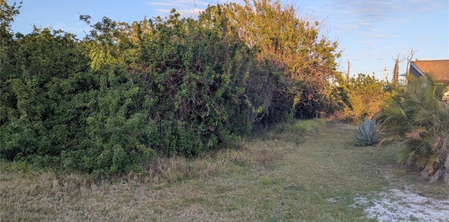 Land in Port Charlotte, Florida № 2163531