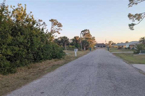 Land in Port Charlotte, Florida № 2163531 - photo 9