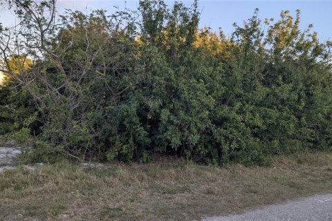 Land in Port Charlotte, Florida № 2163531 - photo 2